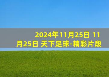 2024年11月25日 11月25日 天下足球-精彩片段